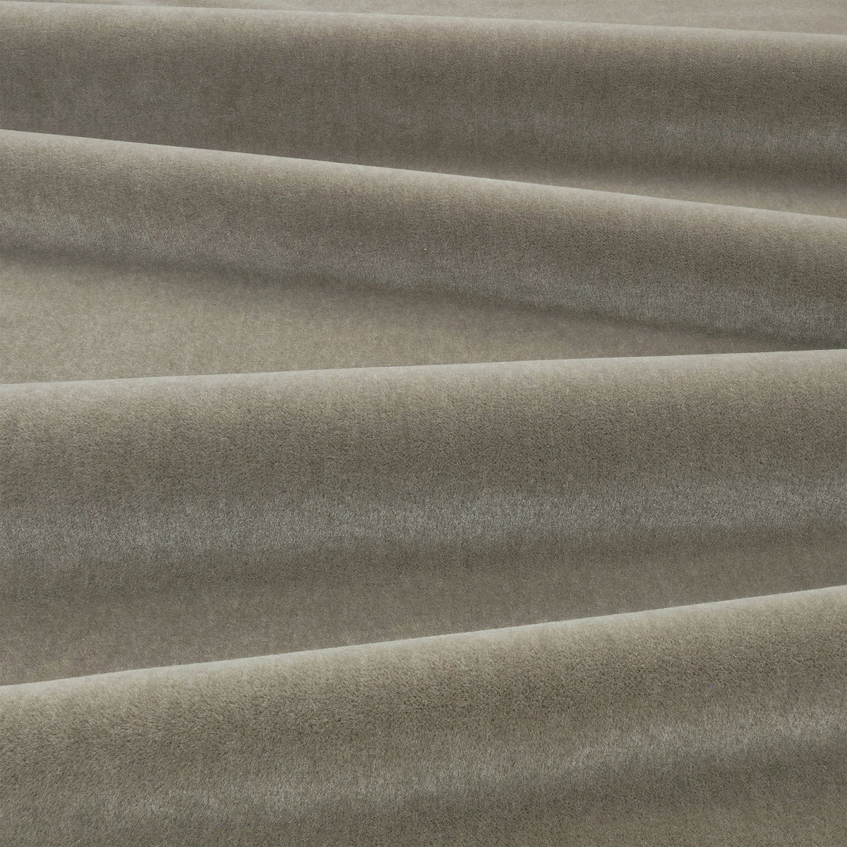 Plush Roman Plush II Fabric by Mark Alexander