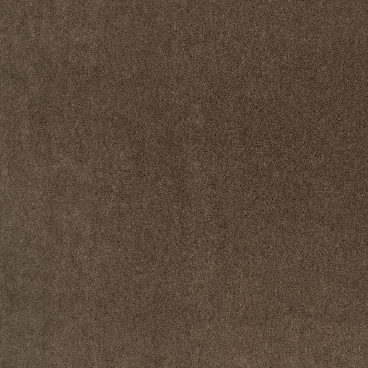 Plush Chocolate Plush II Fabric by Mark Alexander