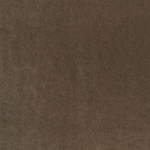 Plush Chocolate Plush II Fabric by Mark Alexander