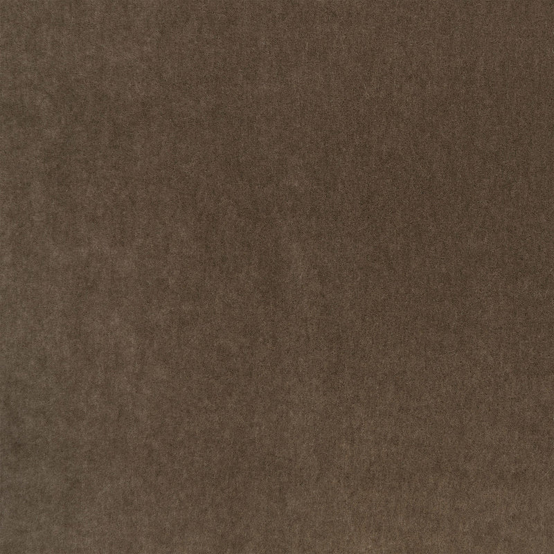 Plush Chocolate Plush II Fabric by Mark Alexander