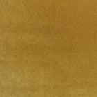 Plush Ochre Plush II Fabric by Mark Alexander