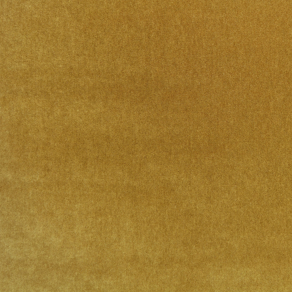 Plush Ochre Plush II Fabric by Mark Alexander