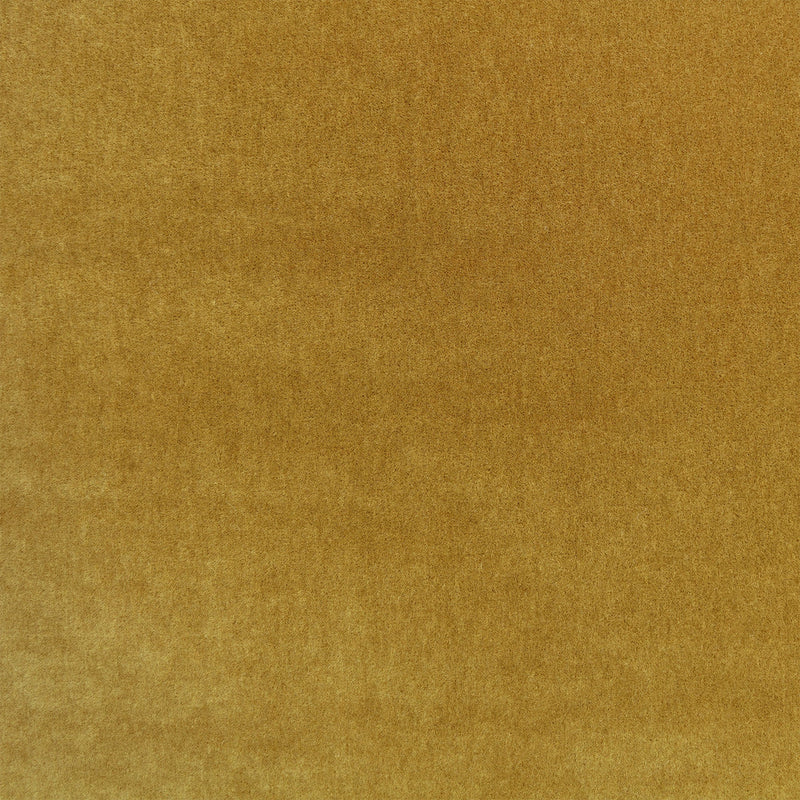 Plush Ochre Plush II Fabric by Mark Alexander