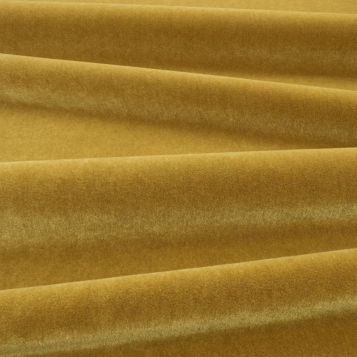 Plush Ochre Plush II Fabric by Mark Alexander