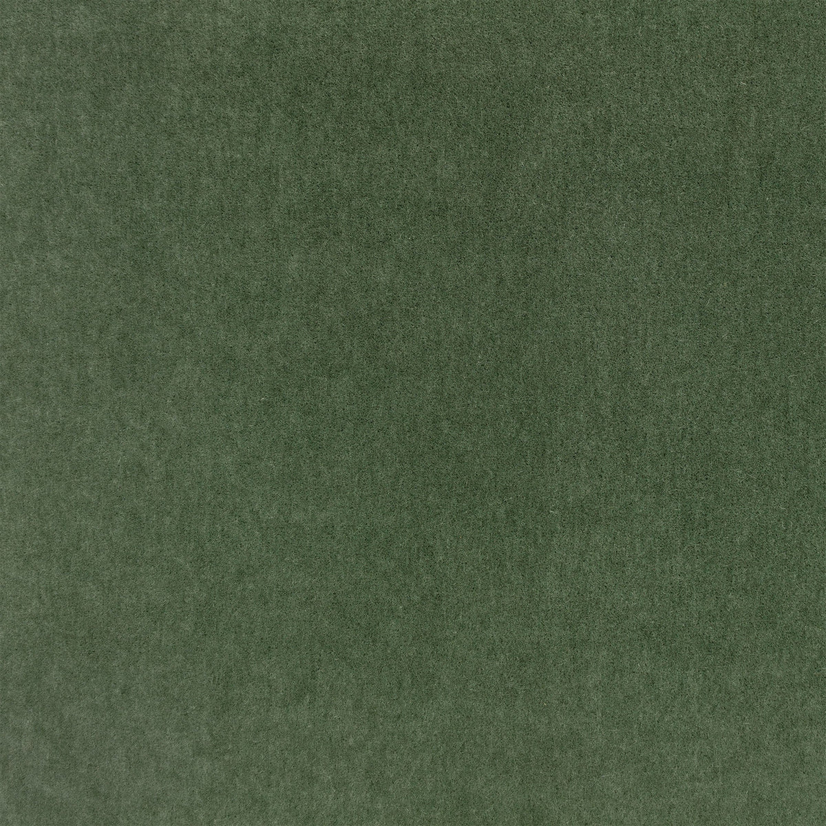 Plush Verde Plush II Fabric by Mark Alexander
