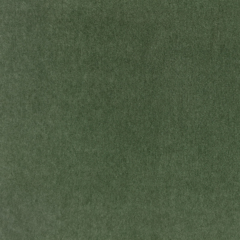 Plush Verde Plush II Fabric by Mark Alexander