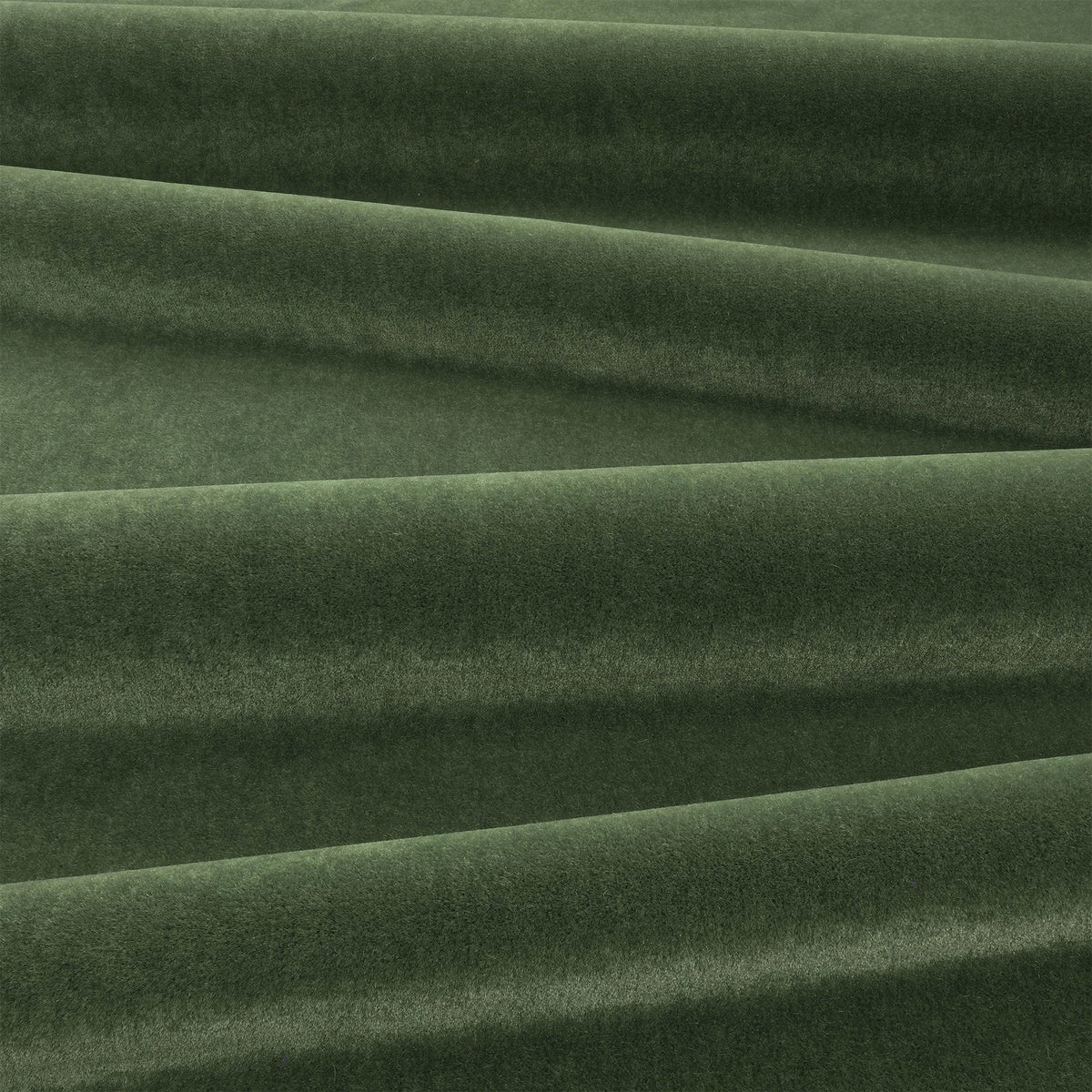 Plush Verde Plush II Fabric by Mark Alexander