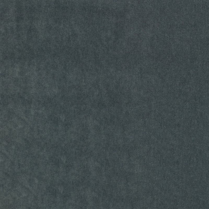 Plush Dark Ink Plush II Fabric by Mark Alexander