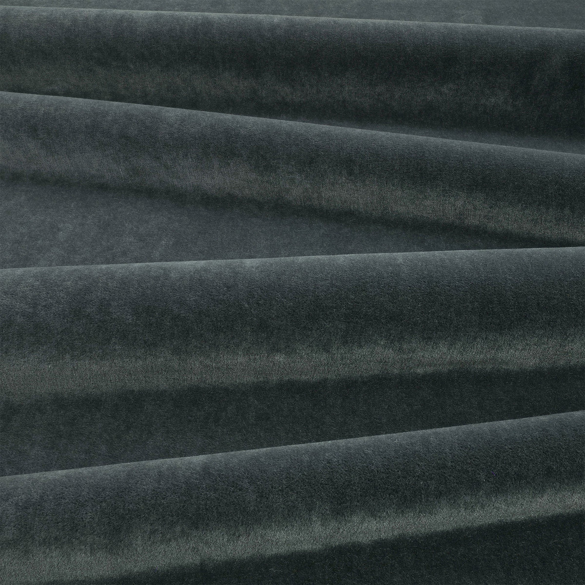 Plush Dark Ink Plush II Fabric by Mark Alexander