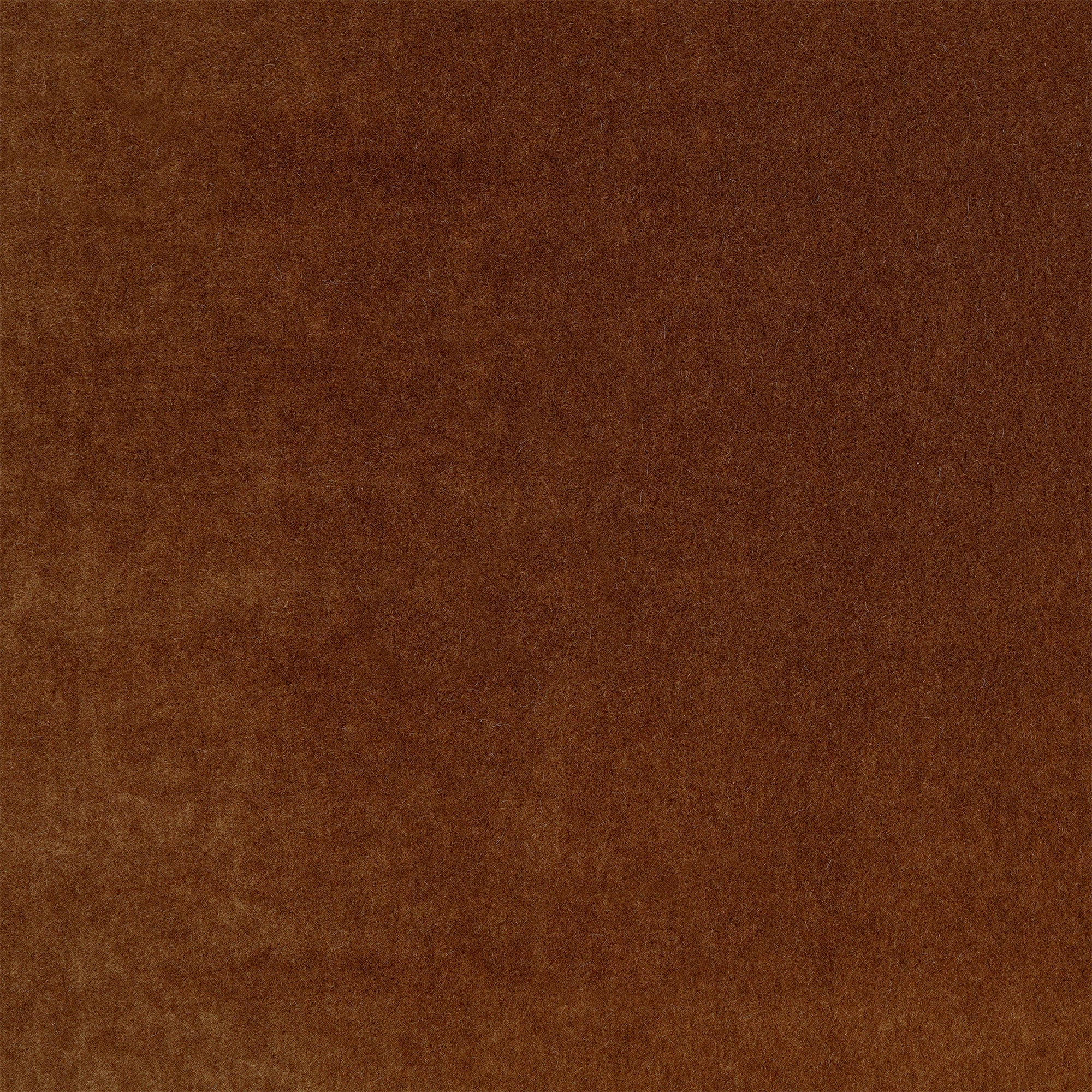 Plush Sienna Plush II Fabric by Mark Alexander