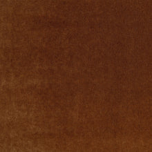 Plush Sienna Plush II Fabric by Mark Alexander