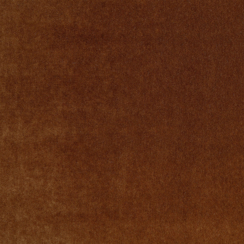 Plush Sienna Plush II Fabric by Mark Alexander