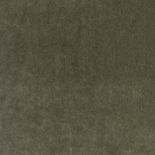 Plush Heritage Plush II Fabric by Mark Alexander