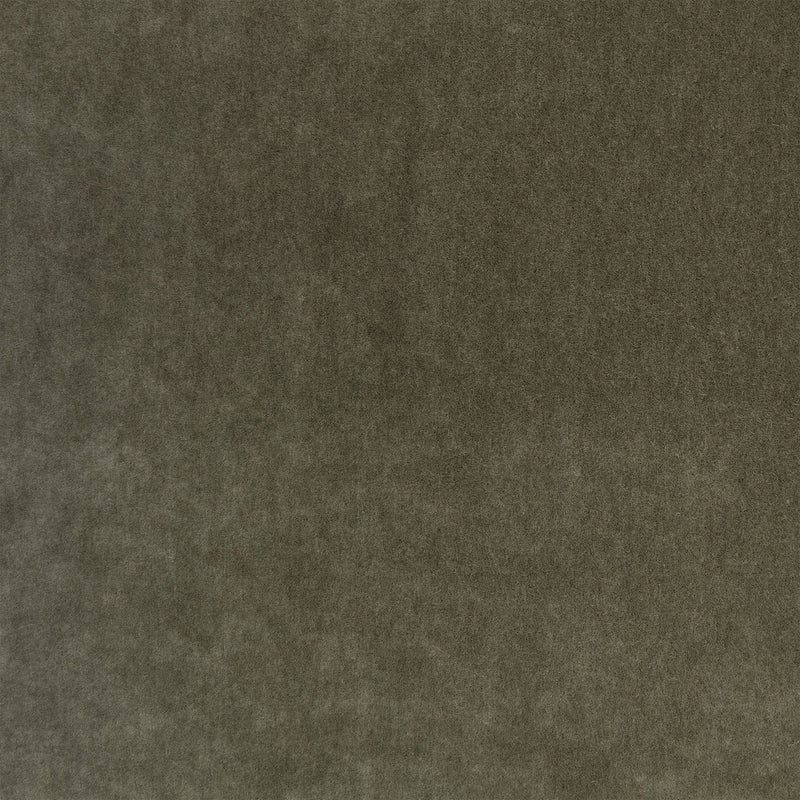 Plush Heritage Plush II Fabric by Mark Alexander
