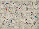 M2214-1 Kathmandu Multicoloured Mural by Tres Tintas (368x275cm)
