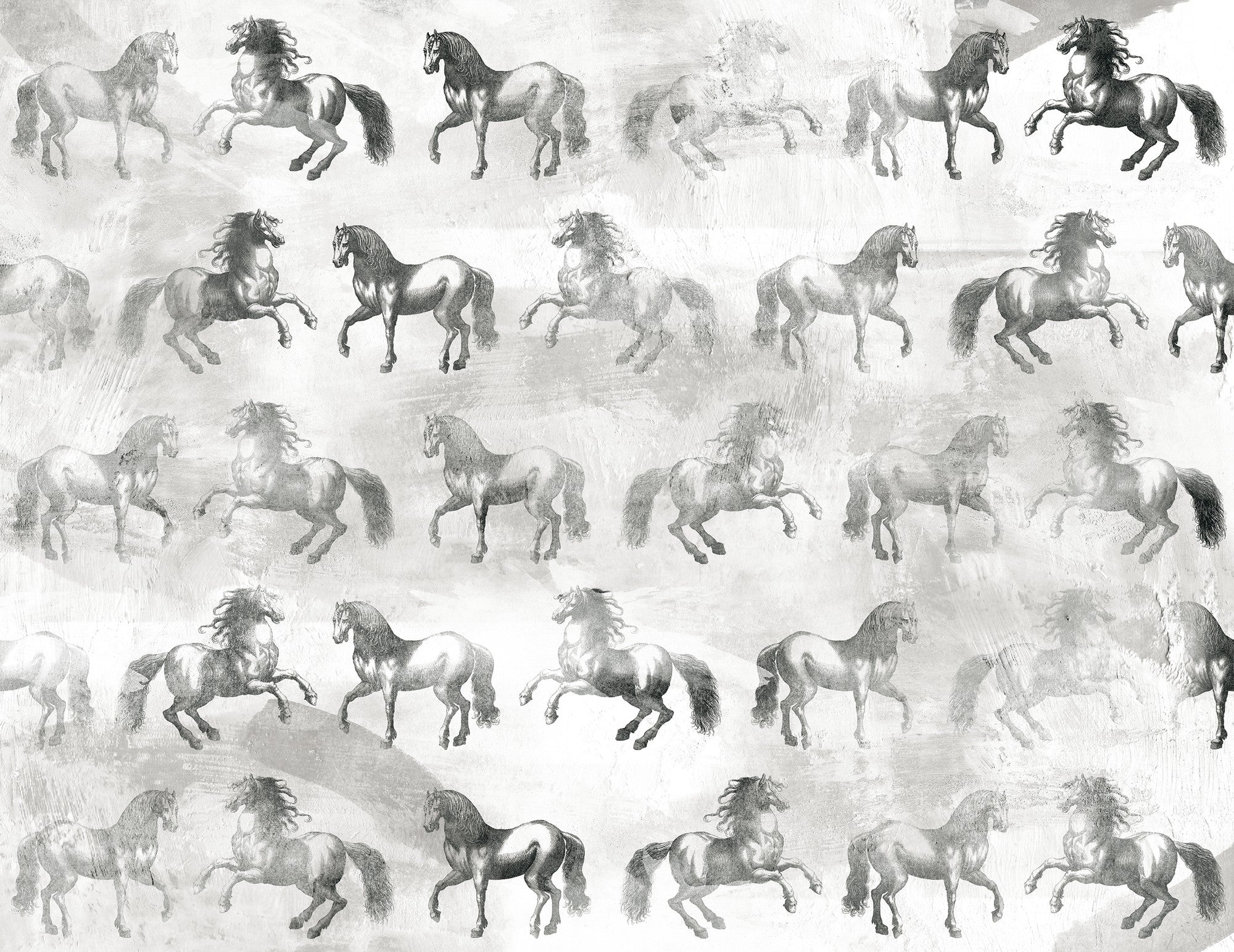 M3003-1 Equinae (M 3003-1) Pentimento Mural by Tres Tintas