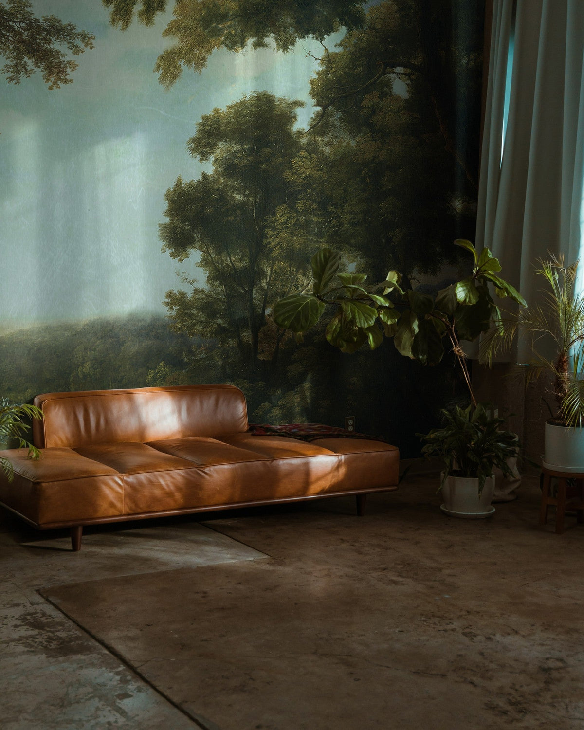 M3017-2 Pago (M3017-2) Pentimento Mural by Tres Tintas
