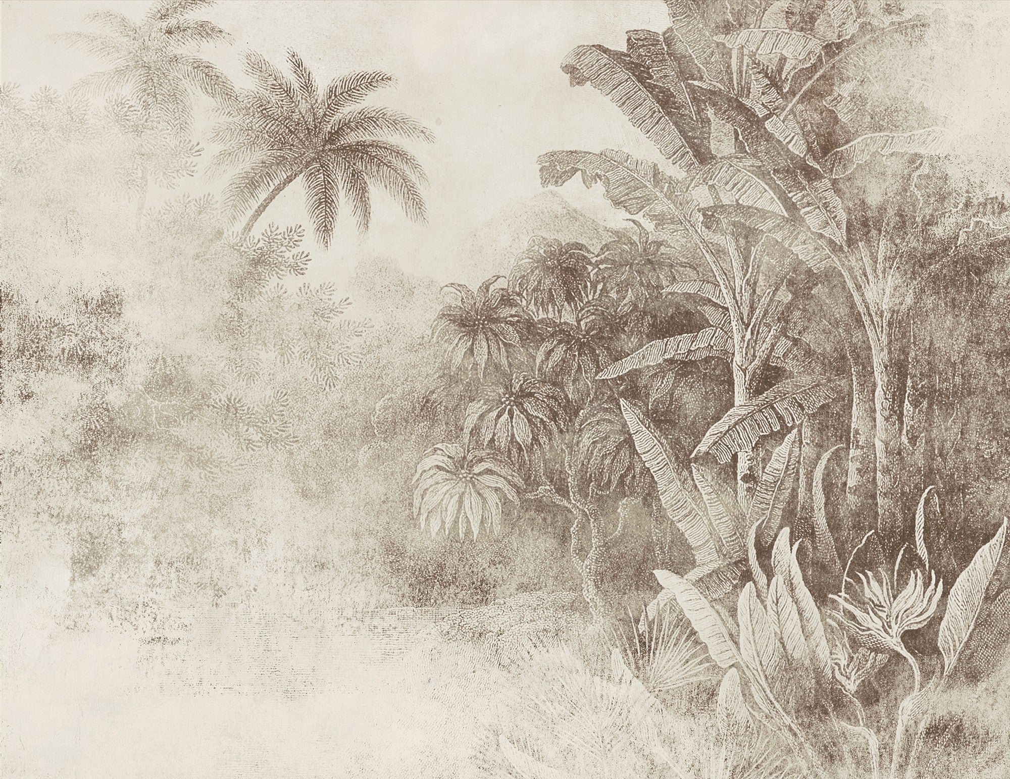 M3022-2 Congo (M 3022-2) Pentimento Mural by Tres Tintas