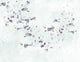 Soleá (M3026-3) Pentimento Mural by Tres Tintas