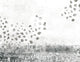 Sug (M3027-1) Pentimento Mural by Tres Tintas