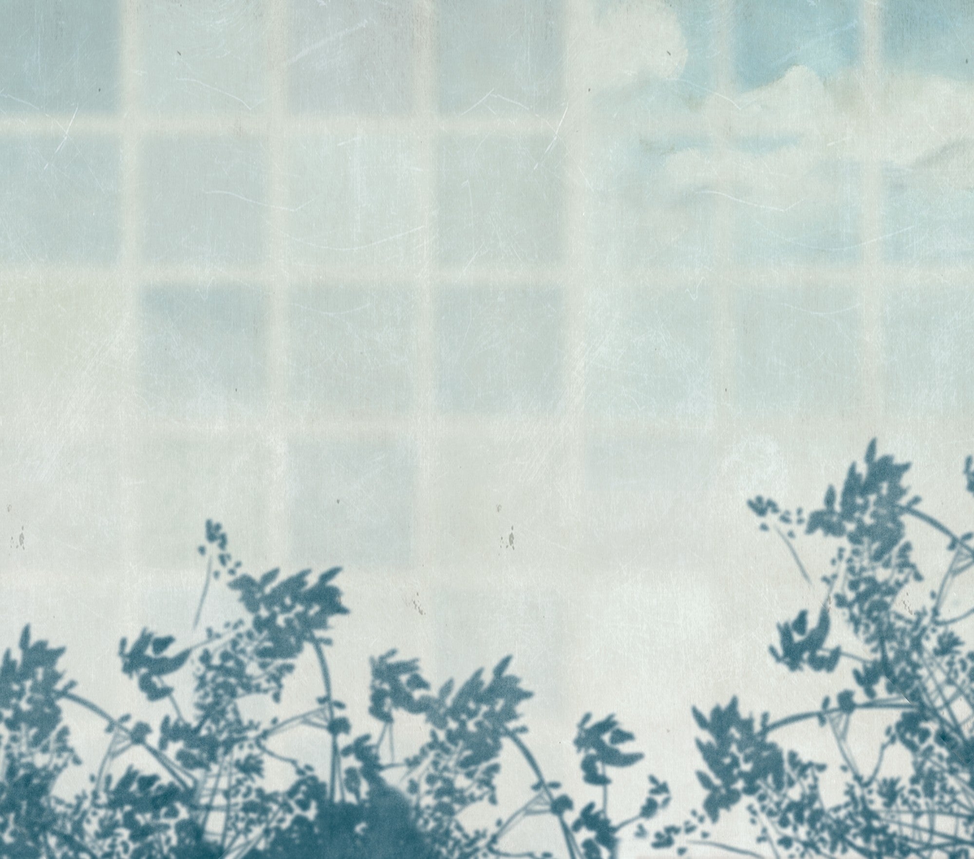 M3035-3 Pago Umbra (M 3035-3) Pentimento Mural by Tres Tintas