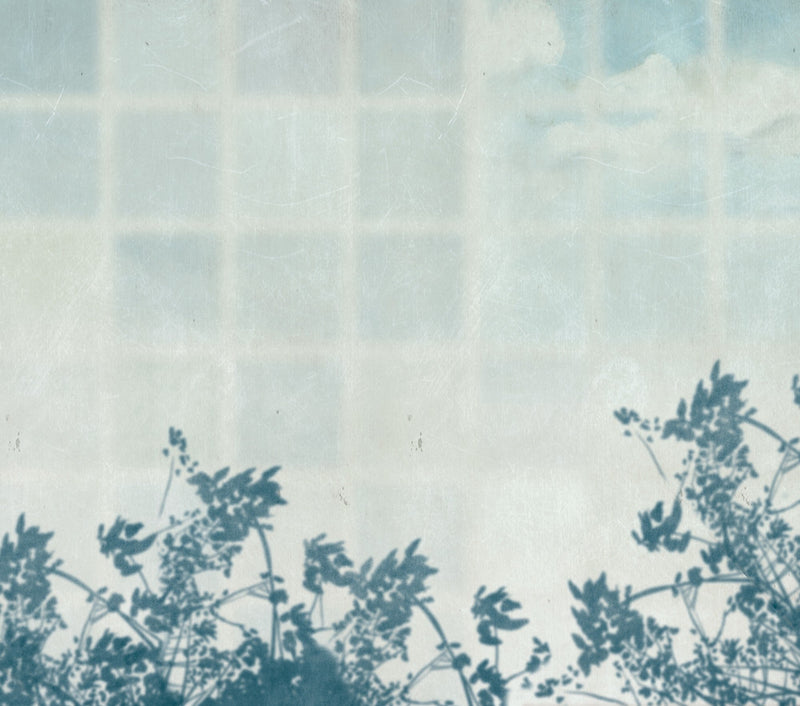 M3035-3 Pago Umbra (M3035-3) Pentimento Mural by Tres Tintas