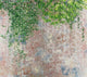 Hedera (M3042-2) Pentimento Mural by Tres Tintas