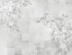 Ueris (M3048-1) Pentimento Mural by Tres Tintas