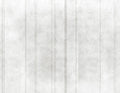 Velum (M3052-1) Pentimento Mural by Tres Tintas