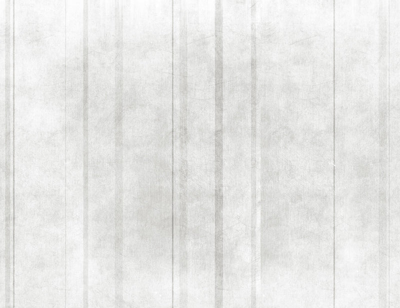 M3052-1 Velum (M 3052-1) Pentimento Mural by Tres Tintas
