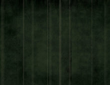 M3052-3 Velum (M3052-3) Pentimento Mural by Tres Tintas