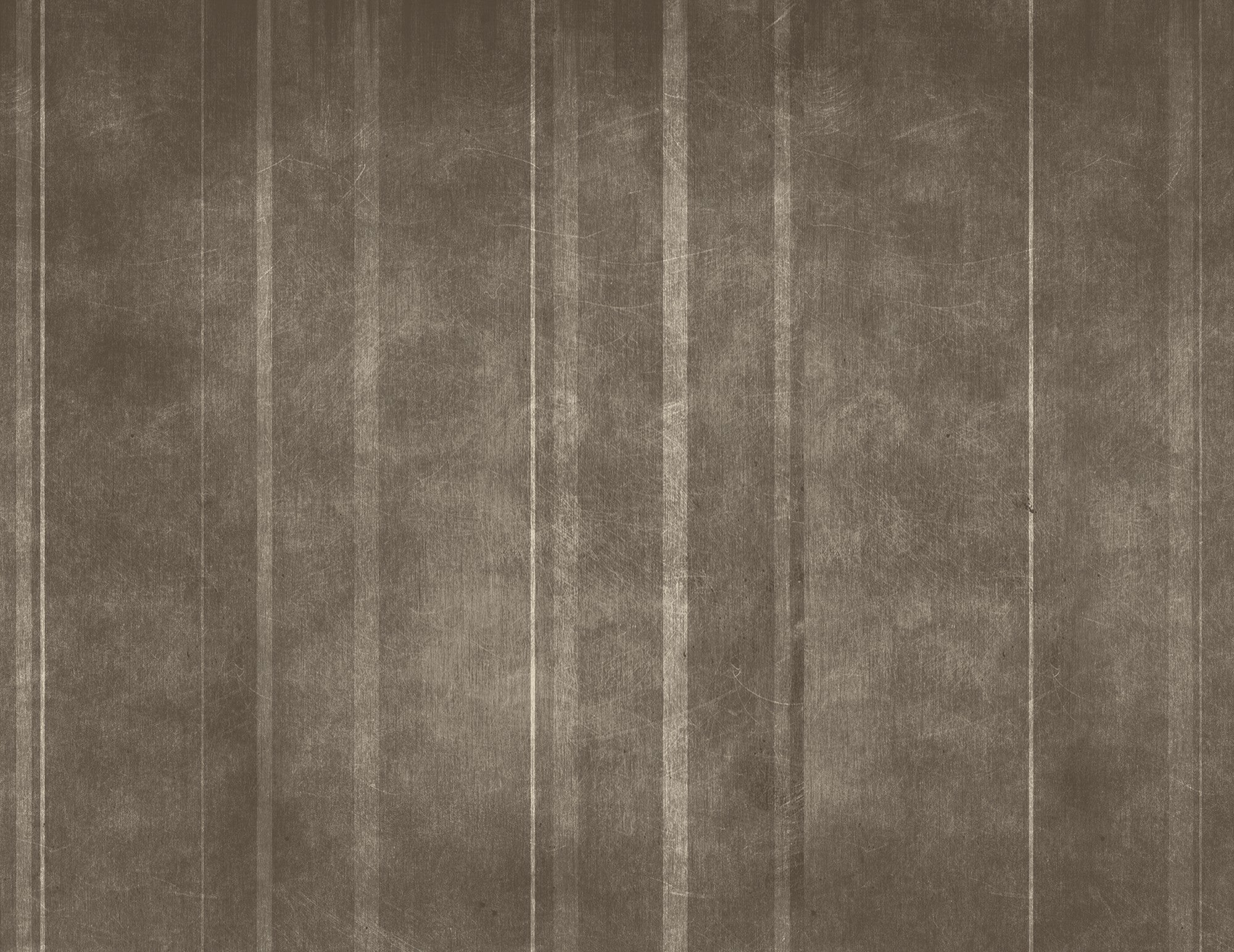 M3052-4 Velum (M 3052-4) Pentimento Mural by Tres Tintas