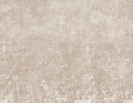 Clavis (M3053-2) Pentimento Mural by Tres Tintas
