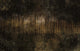 Acasia Gold Gaia Mural by Tres Tintas