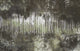 Acasia Green Gaia Mural by Tres Tintas