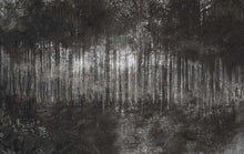 M3501-3 Acasia Black Gaia Mural by Tres Tintas