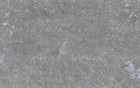M3504-1 Raya Silver Gaia Mural by Tres Tintas
