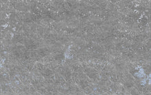 M3504-1 Raya Silver Gaia Mural by Tres Tintas