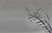 M3505-1 Eina Grey Gaia Mural by Tres Tintas