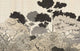 Kyoto Beige Gaia Mural by Tres Tintas