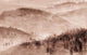 Páramo Brown Gaia Mural by Tres Tintas