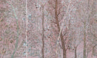 M3903-2 Pluvisilva Pink Dankie Mural by Tres Tintas