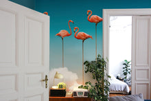 M3911-1 Flamingos Pink Dankie Mural by Tres Tintas