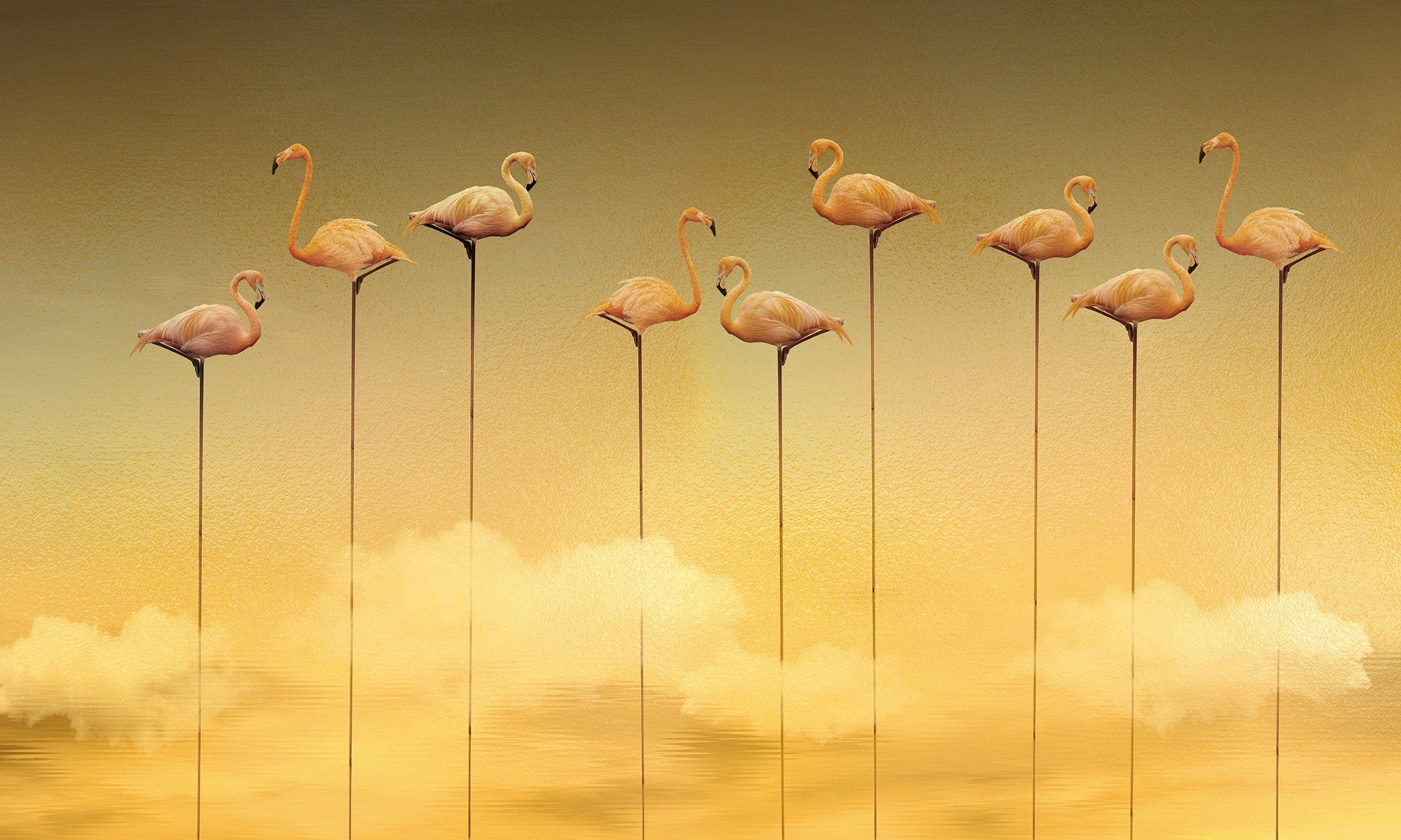 M3911-3 Flamingos Ochre Dankie Mural by Tres Tintas