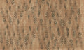 Quebra Terracotta (M4001-3) Rima Mural by Tres Tintas