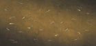 M4302-1 Aljibe Amarillo, Ocre Tafetán Mural by Tres Tintas