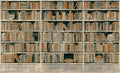 Sapienza Azul Tafetán Mural by Tres Tintas