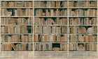 M4308-1 Sapienza Azul Tafetán Mural by Tres Tintas