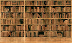 M4308-2 Sapienza Naranja Tafetán Mural by Tres Tintas