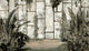 Vivero Verde Tafetán Mural by Tres tintas